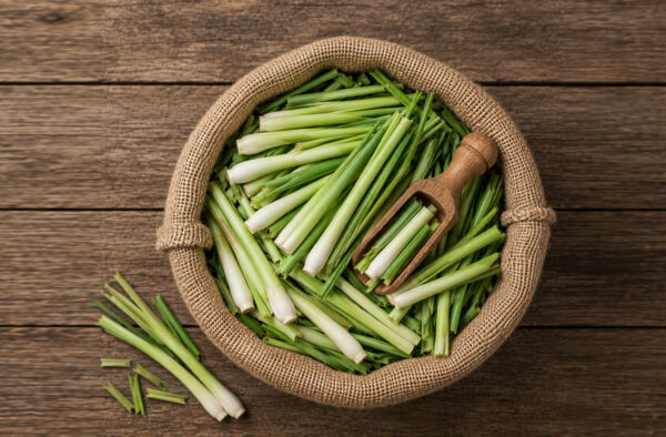 Serai basah Fresh Lemongrass